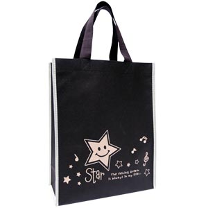 BEAS12045-non woven gift bag