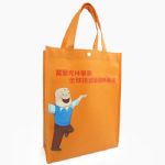 BEAS12117-non woven bag