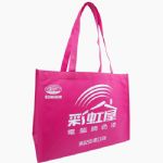 BEAS13024-non woven shooping bag