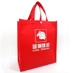 BEAS13120-non woven shopping bag