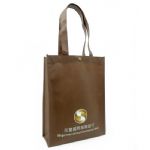 BEAS13122-non woven bag