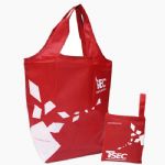 BEBZ11001-nylon foldable bag
